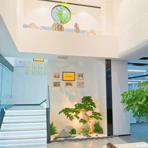 深耕房地产居间服务十五载 公司发展历程与专业价值